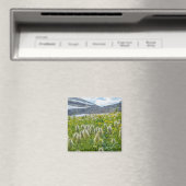 Aimant Pasqueflower occidental | Monts East Kootenay (In Situ (Lave-vaisselle))