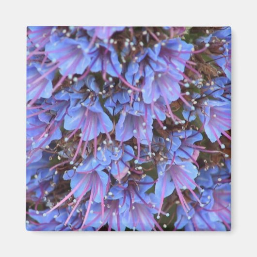 Aimant Passion violette (Devant)