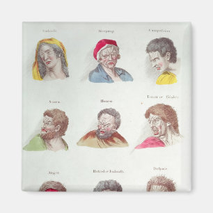 Aimant Passions, assiette V, pub. par R. Edwards, Londres