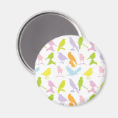 Aimant Pastel Coloured Variété d'oiseaux Motif (Recto/Verso)