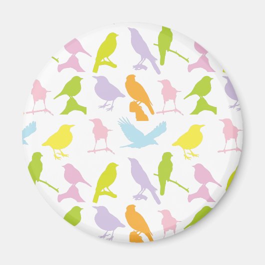 Aimant Pastel Coloured Variété d'oiseaux Motif (Devant)