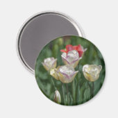 Aimant Pastel Tulips (Recto/Verso)