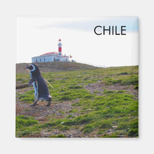 Aimant Patagonie Chili Pingouin (Devant)