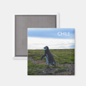 Aimant Patagonie Chili Pingouin (Recto/Verso)