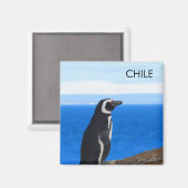 Aimant Patagonie Chili Pingouin (Recto/Verso)