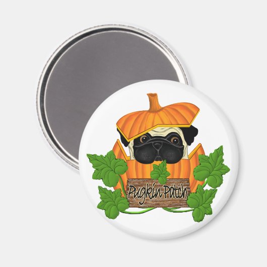 Aimant Patch Citrouille carlin (Recto/Verso)