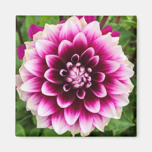 Aimant Patches Dahlia