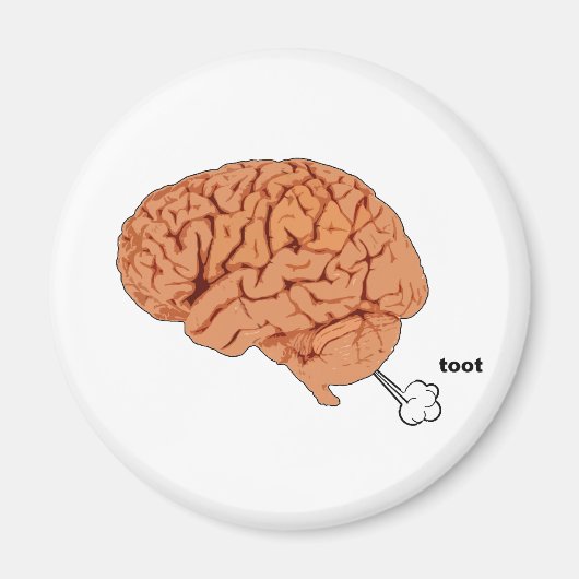 Aimant Pâte cérébrale (Devant)