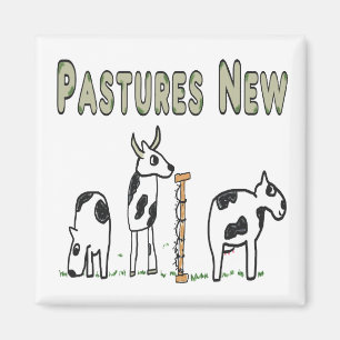 Aimant Pâtes nouvelles