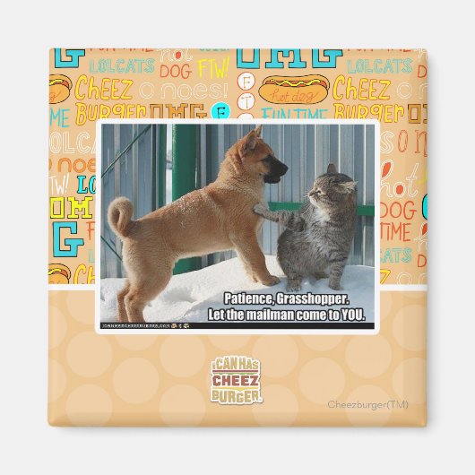 Aimant Patience, sauterelle. (Devant)