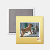 Aimant Patience, sauterelle. (Recto/Verso)