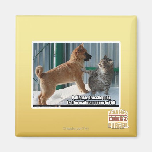 Aimant Patience, sauterelle. (Devant)