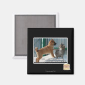 Aimant Patience, sauterelle. (Recto/Verso)