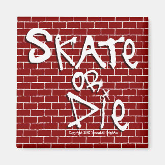Aimant Patinage ou mouche
