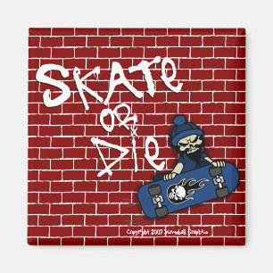 Aimant Patinage ou mouche