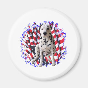 Aimant Patriote dalmate