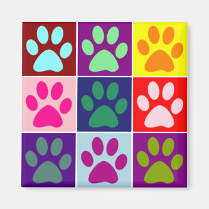Aimant Pattes multicolores