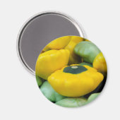 Aimant Pattyan Squash (Recto/Verso)