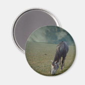 Aimant Pâturage De Cheval Roan En Paddock (Recto/Verso)