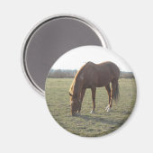 Aimant Pâturage des chevaux de ferme (Recto/Verso)