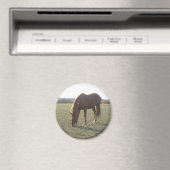 Aimant Pâturage des chevaux de ferme (In Situ (Lave-vaisselle))