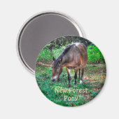 Aimant Pâturage Nouvelle Forêt Pony Faune (Recto/Verso)