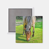 Aimant Pâturage Nouvelle Forêt Pony Faune (Recto/Verso)