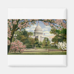 Aimant PAU46 USA Capitol.tif