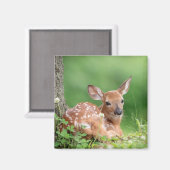 Aimant Pauvreté adorable posée sous un arbre (Recto/Verso)