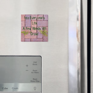 Aimant Paving Stones Weines In Walkway Photo Personnalisé