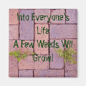 Aimant Paving Stones Weines In Walkway Photo Personnalisé (Devant)