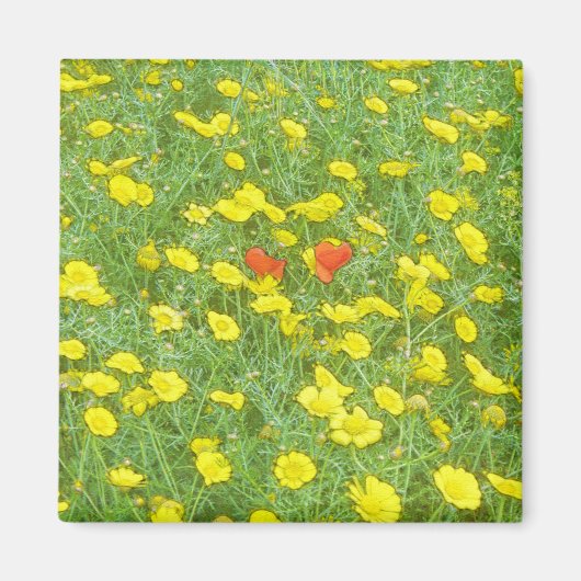 Aimant Pavot aquarelle (Devant)