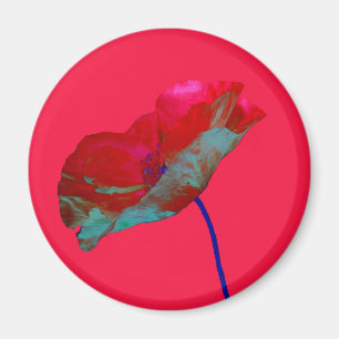 Aimant Pavot bleu rouge rose vif