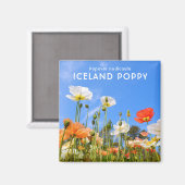 Aimant Pavot d'Islande (Recto/Verso)