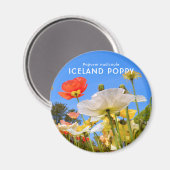 Aimant Pavot d'Islande (Recto/Verso)