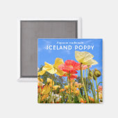 Aimant Pavot d'Islande (Recto/Verso)