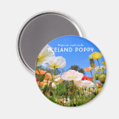 Aimant Pavot d'Islande (Recto/Verso)