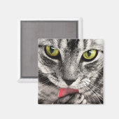Aimant Paw de cueillette de chat Tabby (Recto/Verso)
