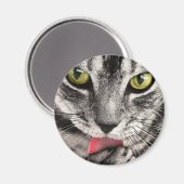 Aimant Paw de cueillette de chat Tabby (Recto/Verso)