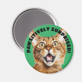 Aimant PAWSITIVEMENT SURPRIS ! Funny Crazy Cat Green (Recto/Verso)