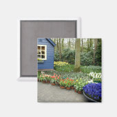 Aimant Pays-Bas alias Holland), Lisse. Keukenhof 11 (Recto/Verso)