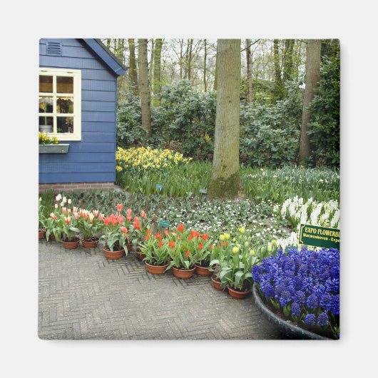 Aimant Pays-Bas alias Holland), Lisse. Keukenhof 11 (Devant)