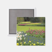 Aimant Pays-Bas alias Holland), Lisse. Keukenhof 5 (Recto/Verso)