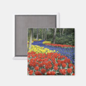 Aimant Pays-Bas, Hollande, Lisse, Keukenhof Gardens (Recto/Verso)