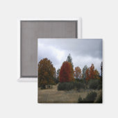 Aimant Pays Couleurs de automne..... (Recto/Verso)