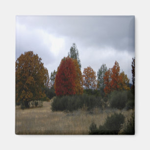 Aimant Pays Couleurs de automne.....