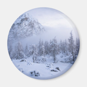 Aimant Pays merveilleux d'hiver, brouillard, forêt d'épin