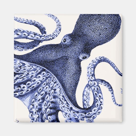 Aimant Paysage Bleu Octopus (Devant)