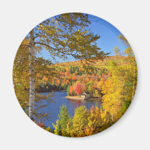 Aimant Paysage d'arbres en automne, Maine