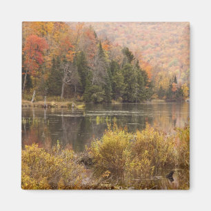 Aimant Paysage d'automne avec lac, Vermont, États-Unis 3